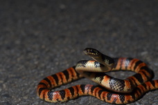 亜細亜TokyoWorld株式会社 のプレスリリース画像6