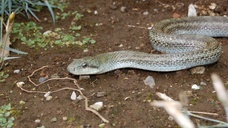 亜細亜TokyoWorld株式会社 のプレスリリース画像9