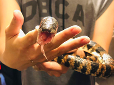 亜細亜TokyoWorld株式会社 のプレスリリース画像10