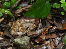 亜細亜TokyoWorld株式会社 のプレスリリース画像5