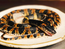 亜細亜TokyoWorld株式会社 のプレスリリース画像7