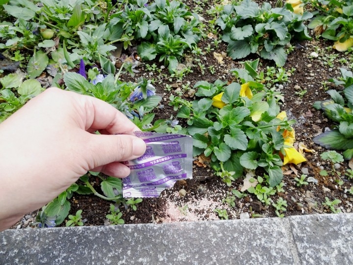 虫はイヤ ン な春に アリンコ ナメクジ ダンゴ虫を触らずに退治する方法 紀陽除虫菊株式会社のプレスリリース 虫はイヤ ン な春に アリンコ ナメクジ ダンゴ虫を触らずに退治する方法 紀陽除虫菊株式会社のプレスリリース