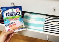 紀陽除虫菊株式会社のプレスリリース画像1