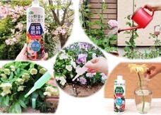 紀陽除虫菊株式会社のプレスリリース画像1