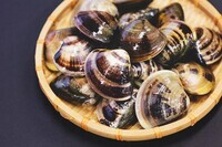 桑名市のプレスリリース画像2