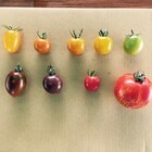 株式会社みんなの農業のプレスリリース画像1