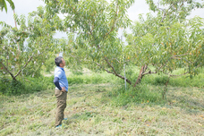 株式会社みんなの農業のプレスリリース画像5