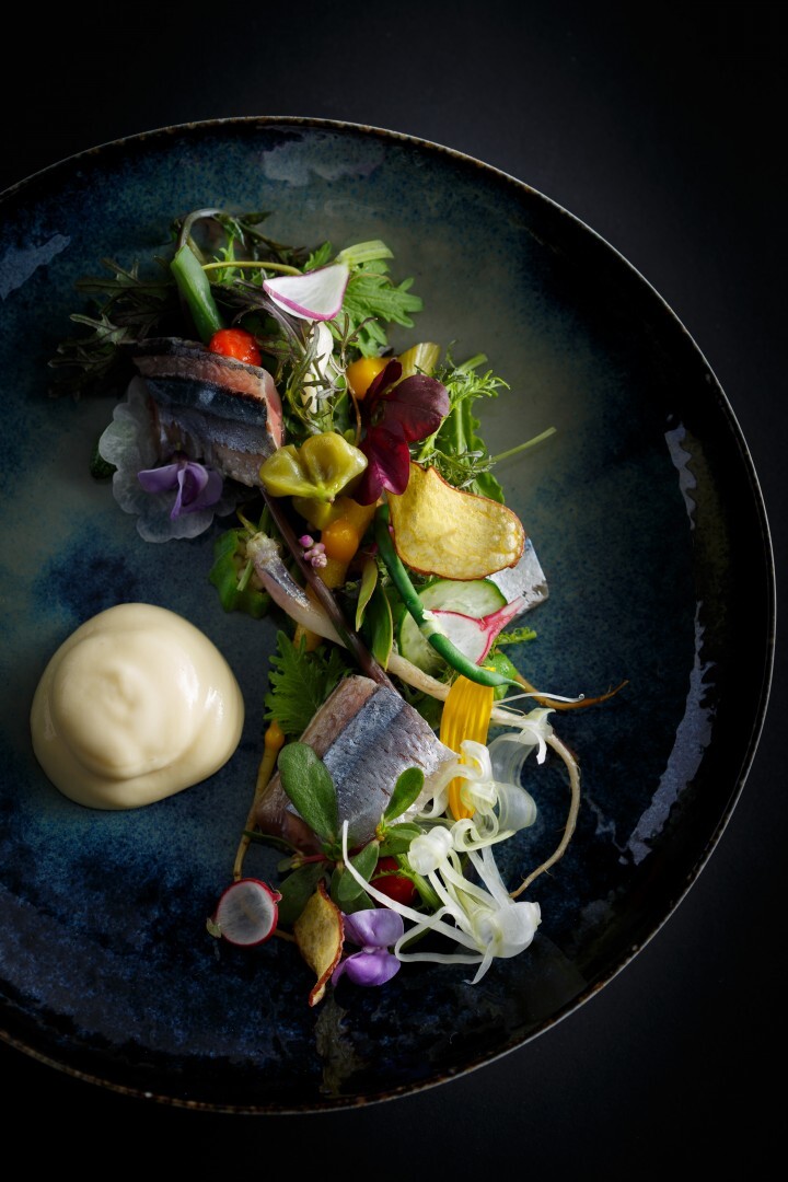 株式会社アクトコールのプレスリリース画像4