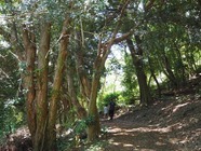 株式会社アクトコールのプレスリリース画像4