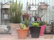 株式会社アクポニのプレスリリース画像1