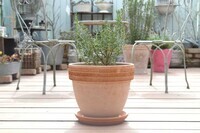 株式会社アクポニのプレスリリース画像1