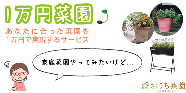 株式会社アクポニのプレスリリース画像1