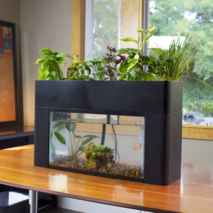 株式会社アクポニのプレスリリース画像1