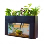 株式会社アクポニのプレスリリース