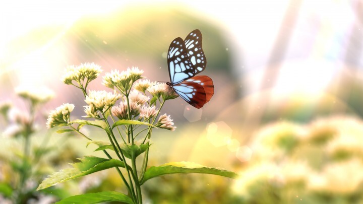 京都学園大学のプレスリリース画像3