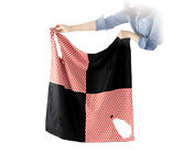 株式会社イケックス工業SOLCIONのプレスリリース画像2