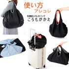 株式会社イケックス工業SOLCIONのプレスリリース画像6