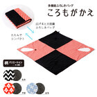 株式会社イケックス工業SOLCIONのプレスリリース画像5