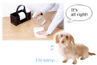 株式会社イケックス工業SOLCIONのプレスリリース画像4