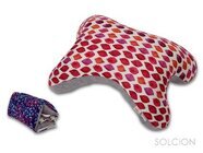 株式会社イケックス工業SOLCIONのプレスリリース画像1