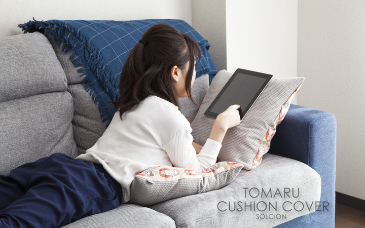 株式会社イケックス工業SOLCIONのプレスリリース画像2