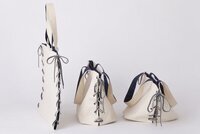 株式会社イケックス工業SOLCIONのプレスリリース画像3