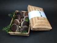 ネクストイノベーション株式会社のプレスリリース画像3