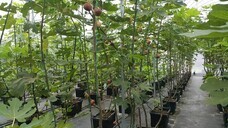 ネクストイノベーション株式会社のプレスリリース画像4