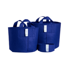 ネクストイノベーション株式会社のプレスリリース画像1