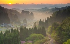 ネクストイノベーション株式会社のプレスリリース画像3