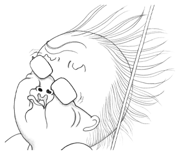 株式会社アイディールのプレスリリース画像7