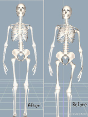 株式会社プレビッグのプレスリリース
