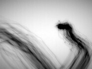 ヴォロシティ 株式会社のプレスリリース画像3