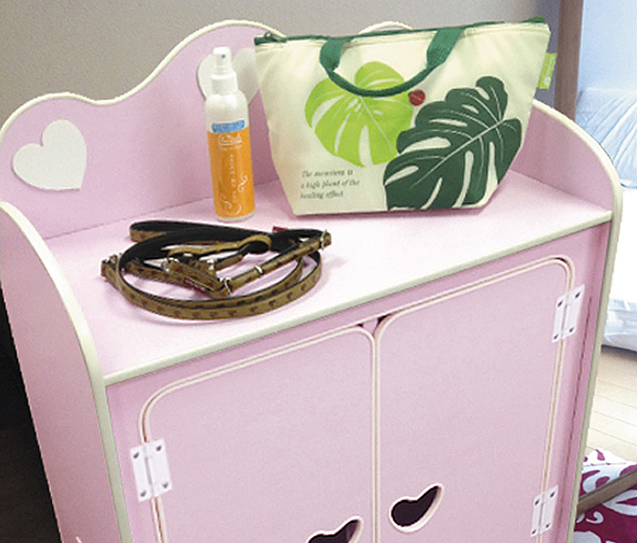 株式会社プライズコミュニケーションのプレスリリース画像4