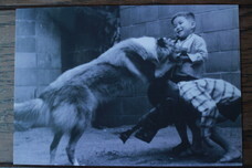 株式会社ワイズアカデミーのプレスリリース画像8