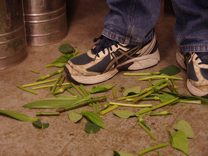 フローランガーデン株式会社のプレスリリース画像4