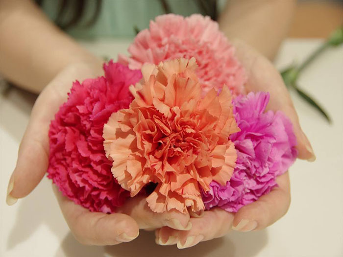 フローランガーデン株式会社のプレスリリース画像3