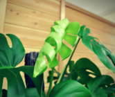 株式会社エムールのプレスリリース画像6