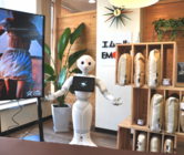 株式会社エムールのプレスリリース画像2