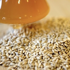 ORYZAE BREWINGのプレスリリース画像1