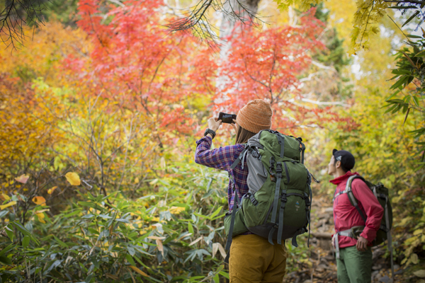 株式会社エイ出版社のプレスリリース画像1