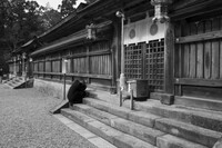 株式会社スリーシーズのプレスリリース画像4