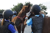 株式会社 馬事学院のプレスリリース画像9