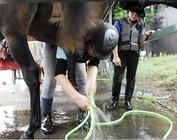 株式会社 馬事学院のプレスリリース画像7