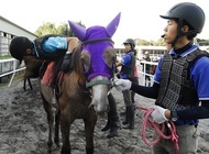 株式会社 馬事学院のプレスリリース画像8