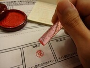 真通株式会社のプレスリリース画像10