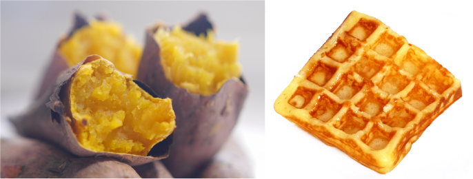 株式会社Ｂ・Ｊコーポレーションのプレスリリース画像1