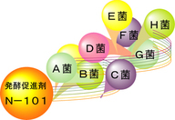 株式会社Ｂ・Ｊコーポレーションのプレスリリース画像1