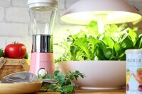 エコキッチン株式会社のプレスリリース