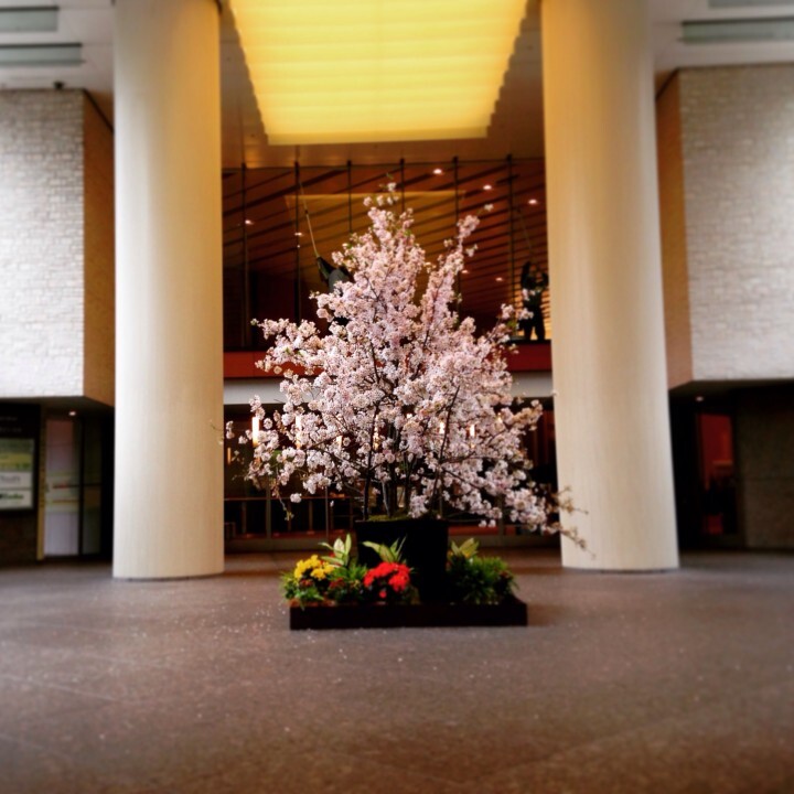 フラワーリバイバル事務局のプレスリリース画像6